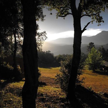 Camping Maçanet de Cabrenys Zewnętrze zdjęcie