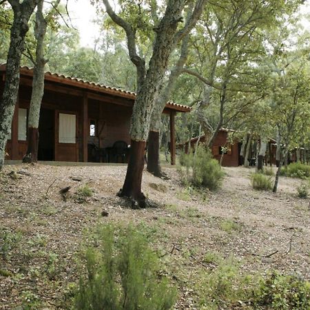Camping Maçanet de Cabrenys Zewnętrze zdjęcie