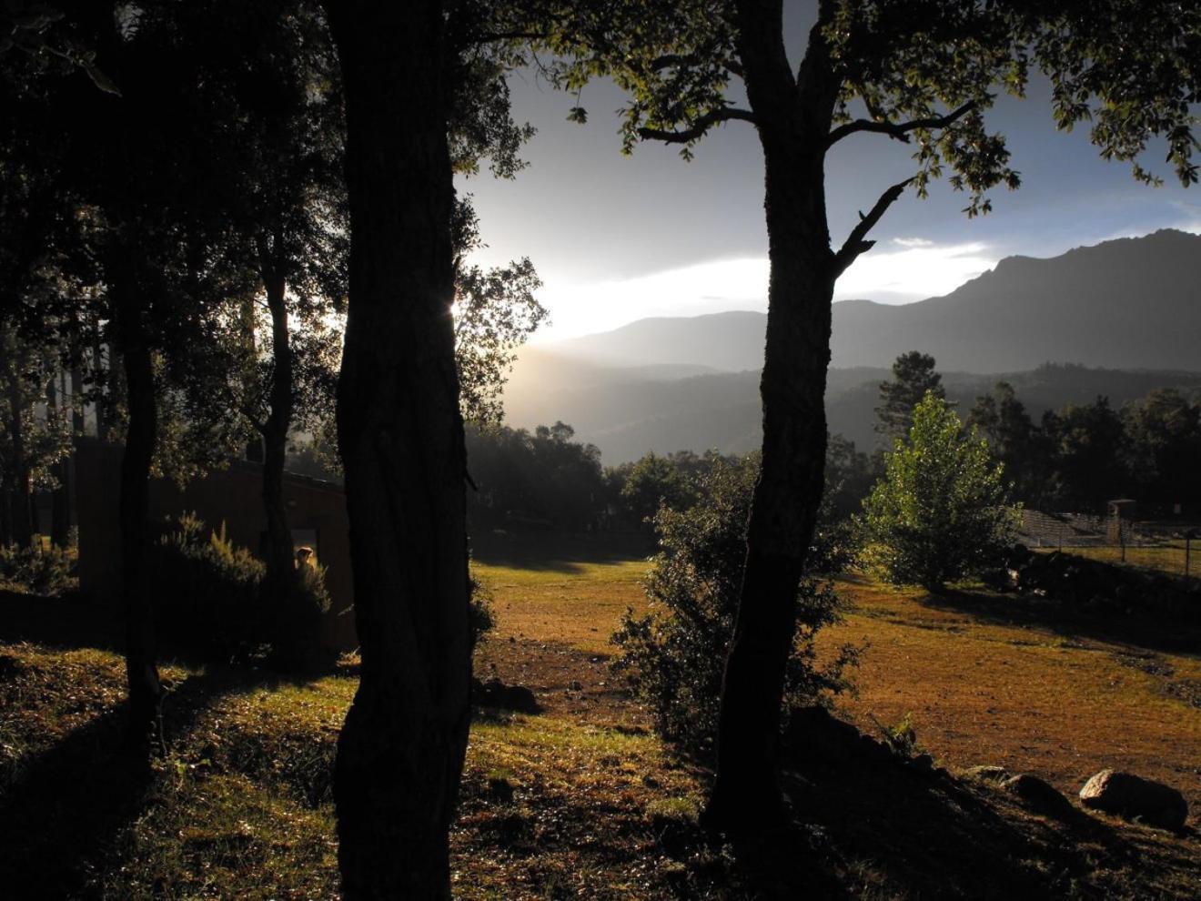 Camping Maçanet de Cabrenys Zewnętrze zdjęcie