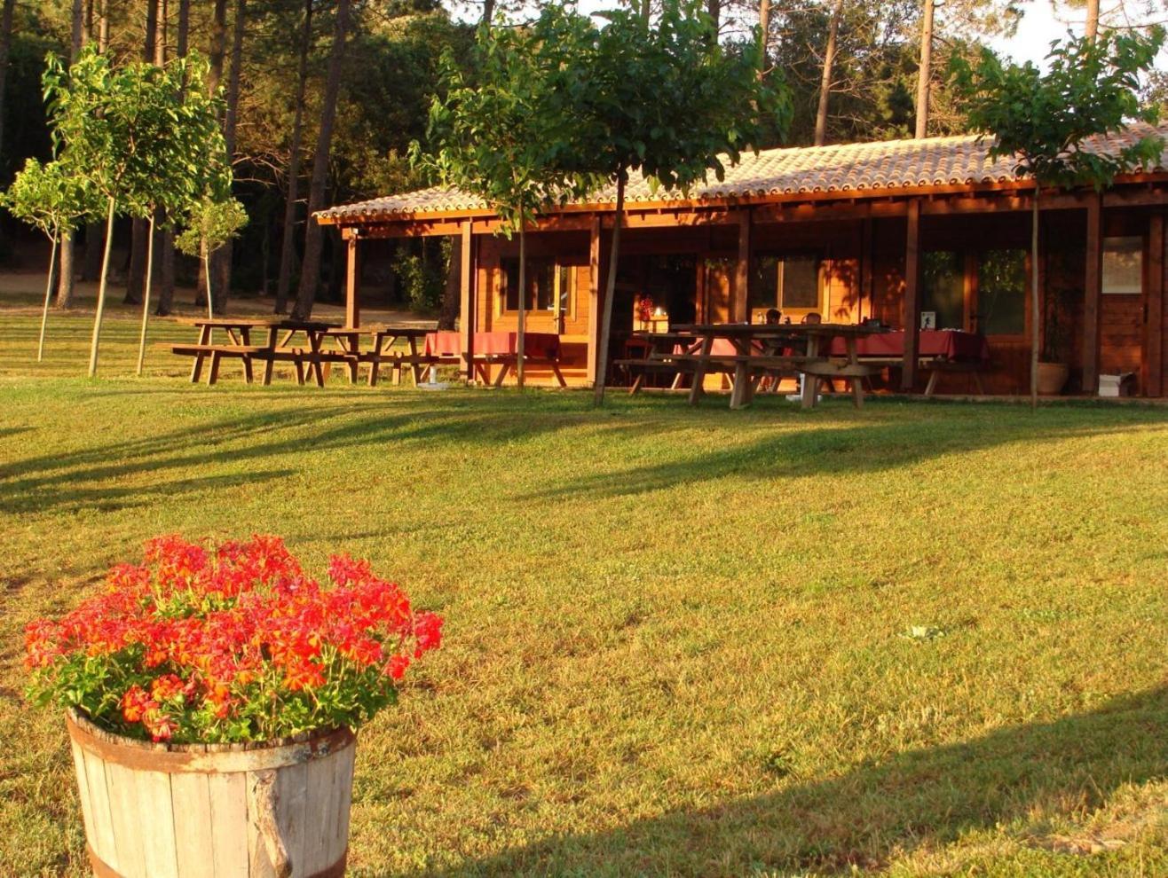 Camping Maçanet de Cabrenys Zewnętrze zdjęcie
