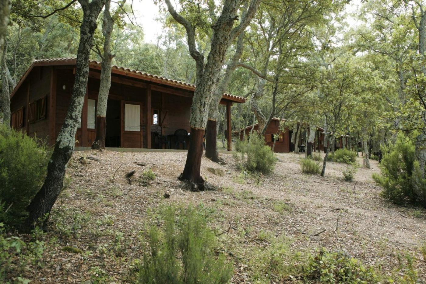 Camping Maçanet de Cabrenys Zewnętrze zdjęcie