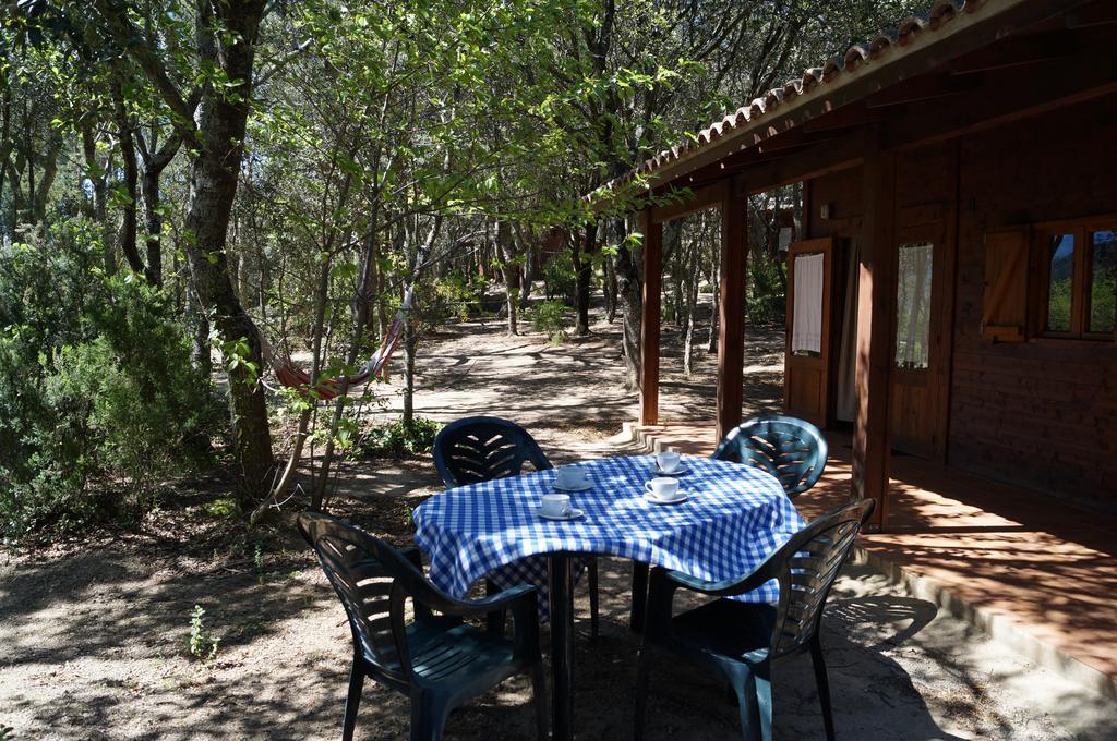 Camping Maçanet de Cabrenys Zewnętrze zdjęcie