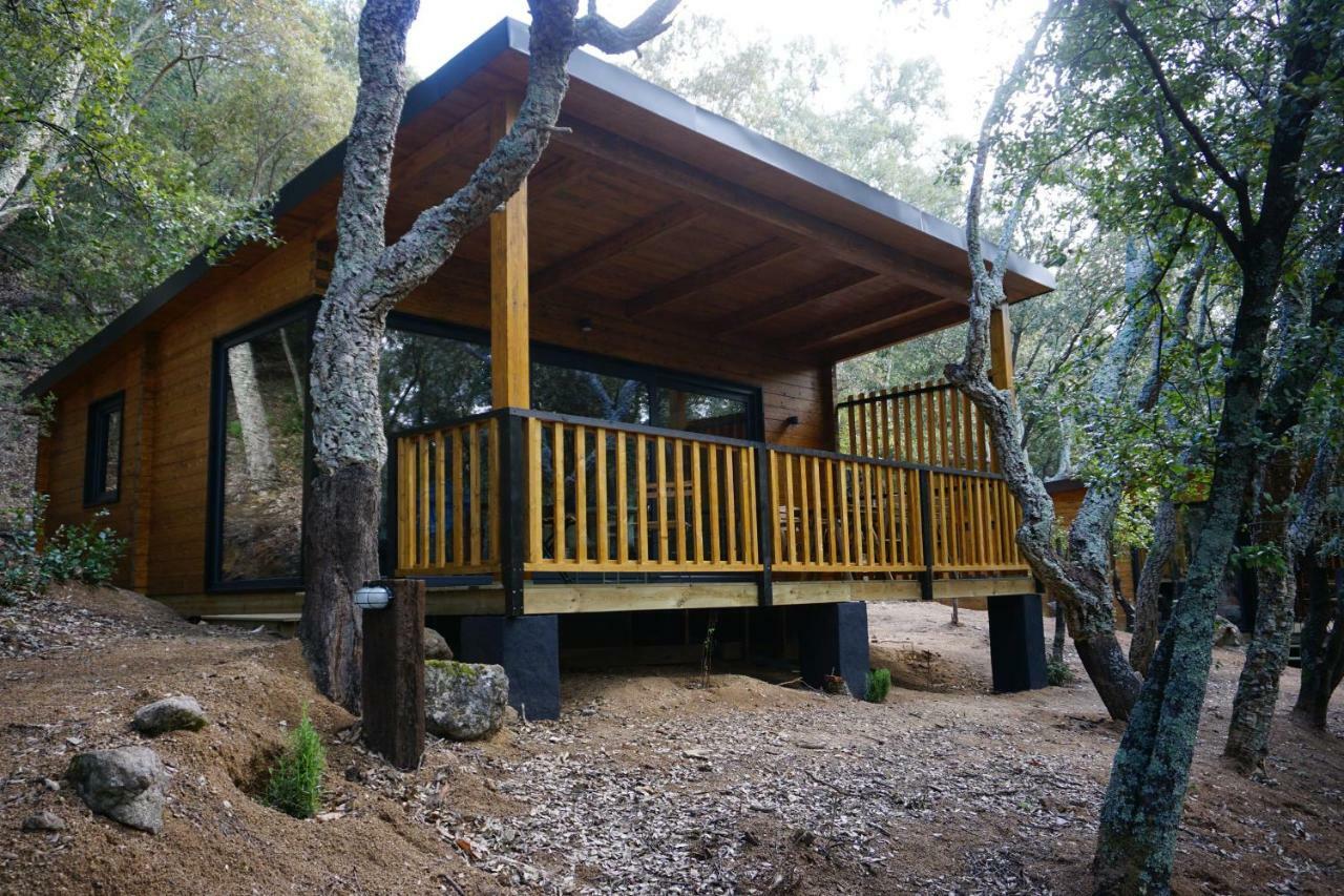 Camping Maçanet de Cabrenys Zewnętrze zdjęcie