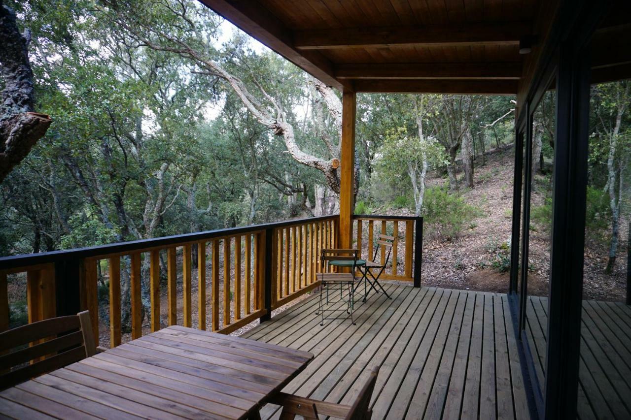 Camping Maçanet de Cabrenys Zewnętrze zdjęcie